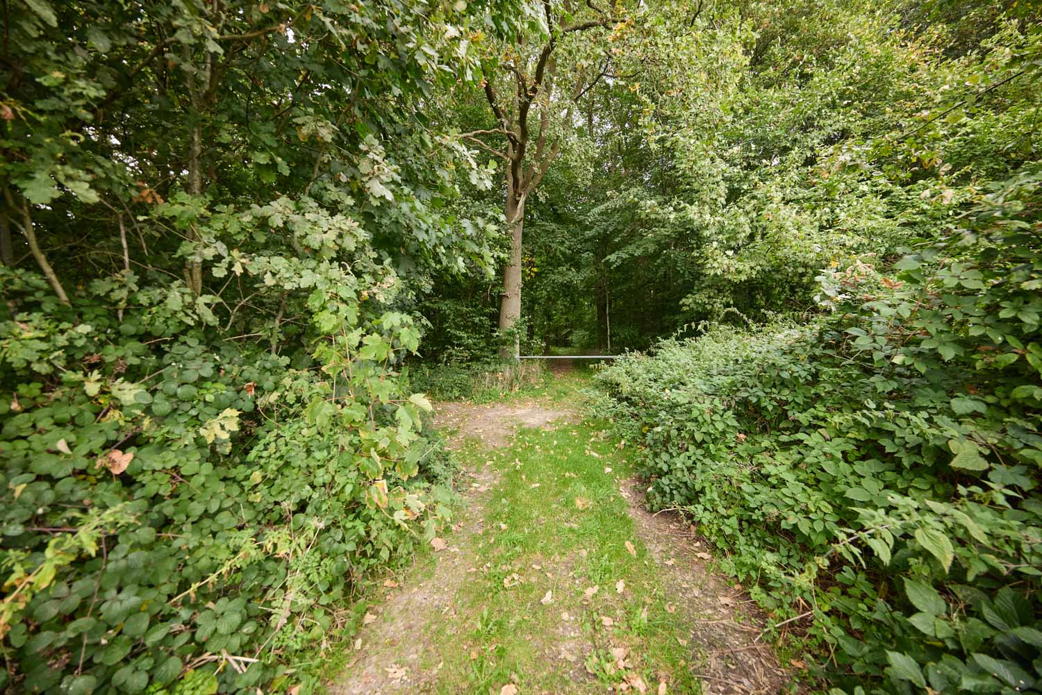 skov-2970 Kolding Landevej 44B, 7000 Fredericia
