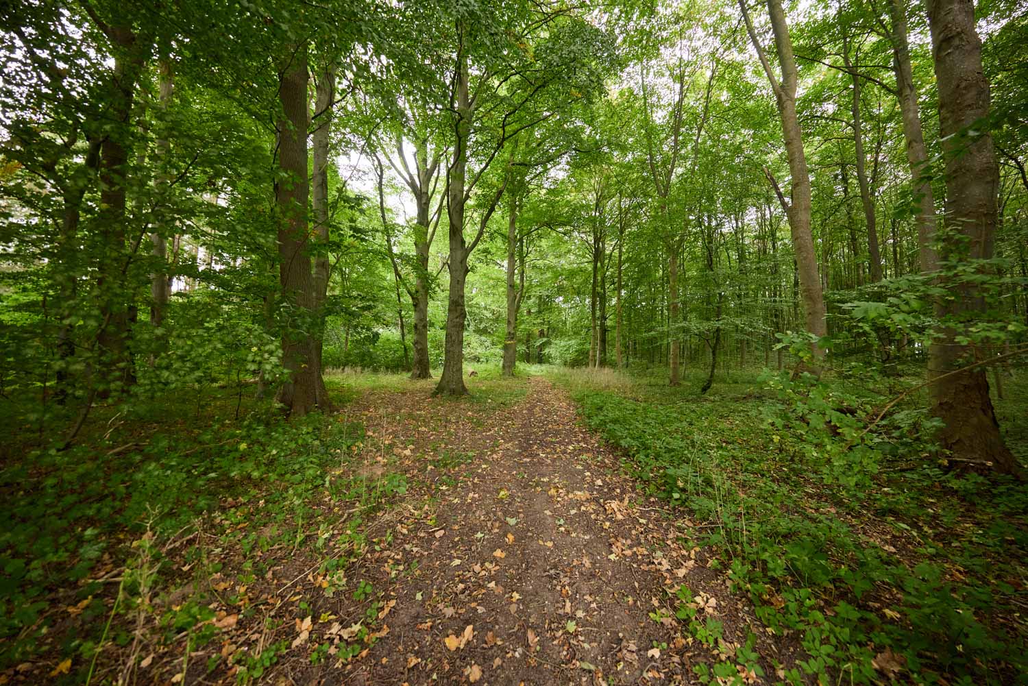 skov-2971 Kolding Landevej 44B, 7000 Fredericia