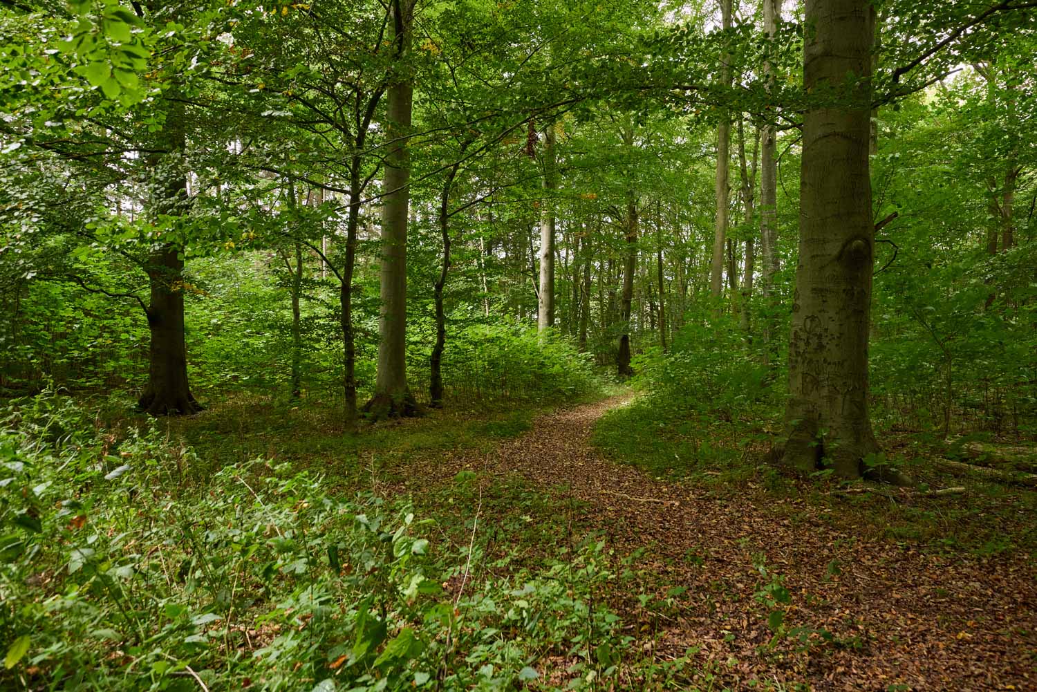 skov-2974 Kolding Landevej 44B, 7000 Fredericia