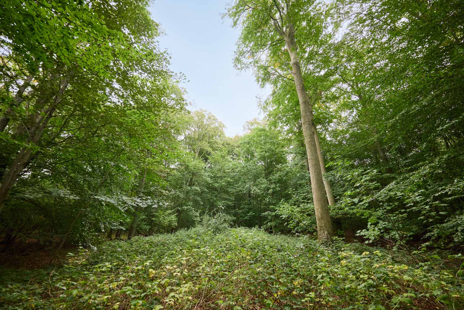skov-2980 Kolding Landevej 44B, 7000 Fredericia