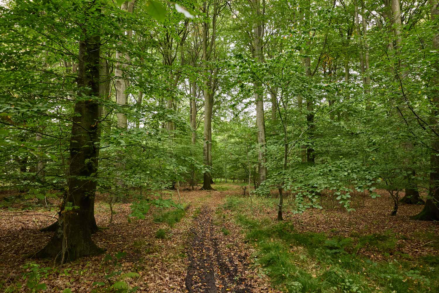 skov-2982 Kolding Landevej 44B, 7000 Fredericia