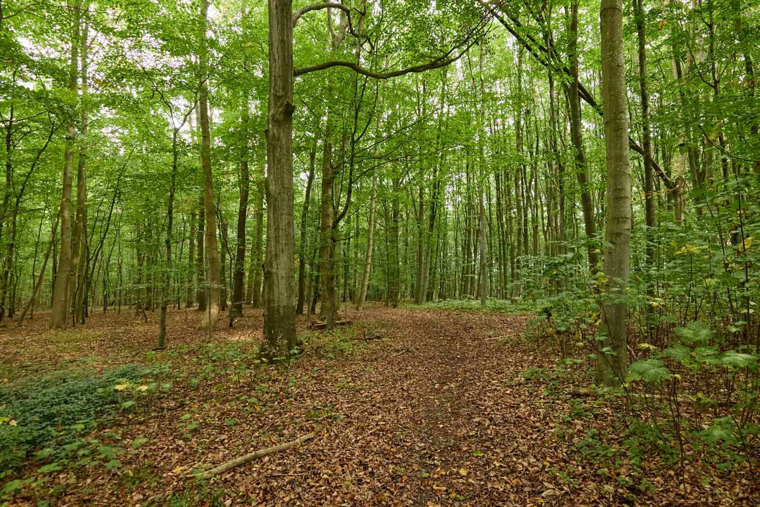 skov-2988 Kolding Landevej 44B, 7000 Fredericia