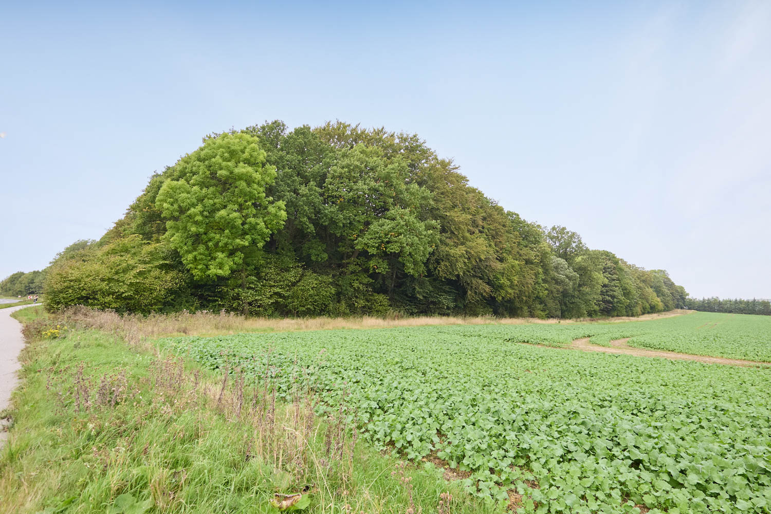 skov-2993 Kolding Landevej 44B, 7000 Fredericia