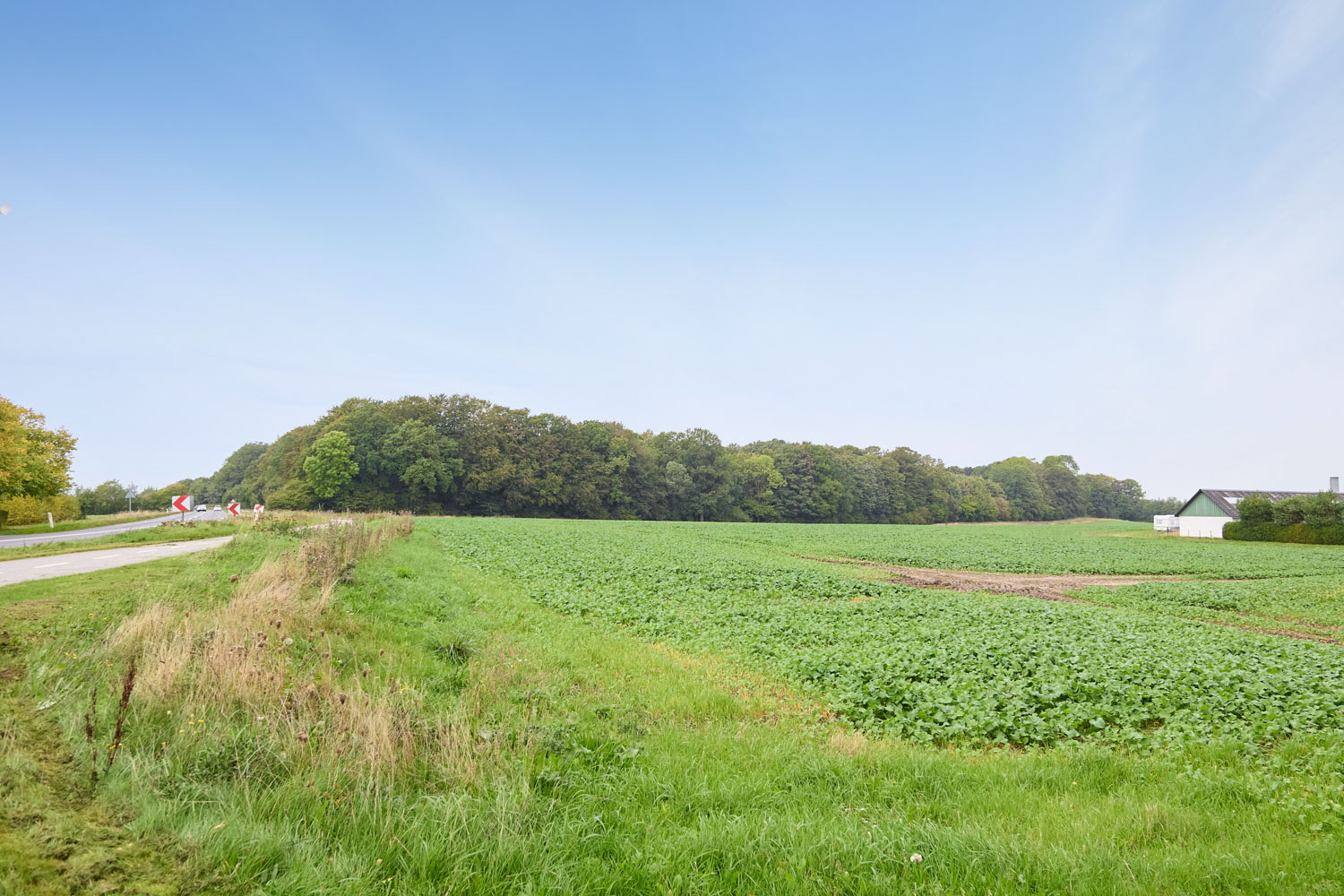 skov-2994 Kolding Landevej 44B, 7000 Fredericia
